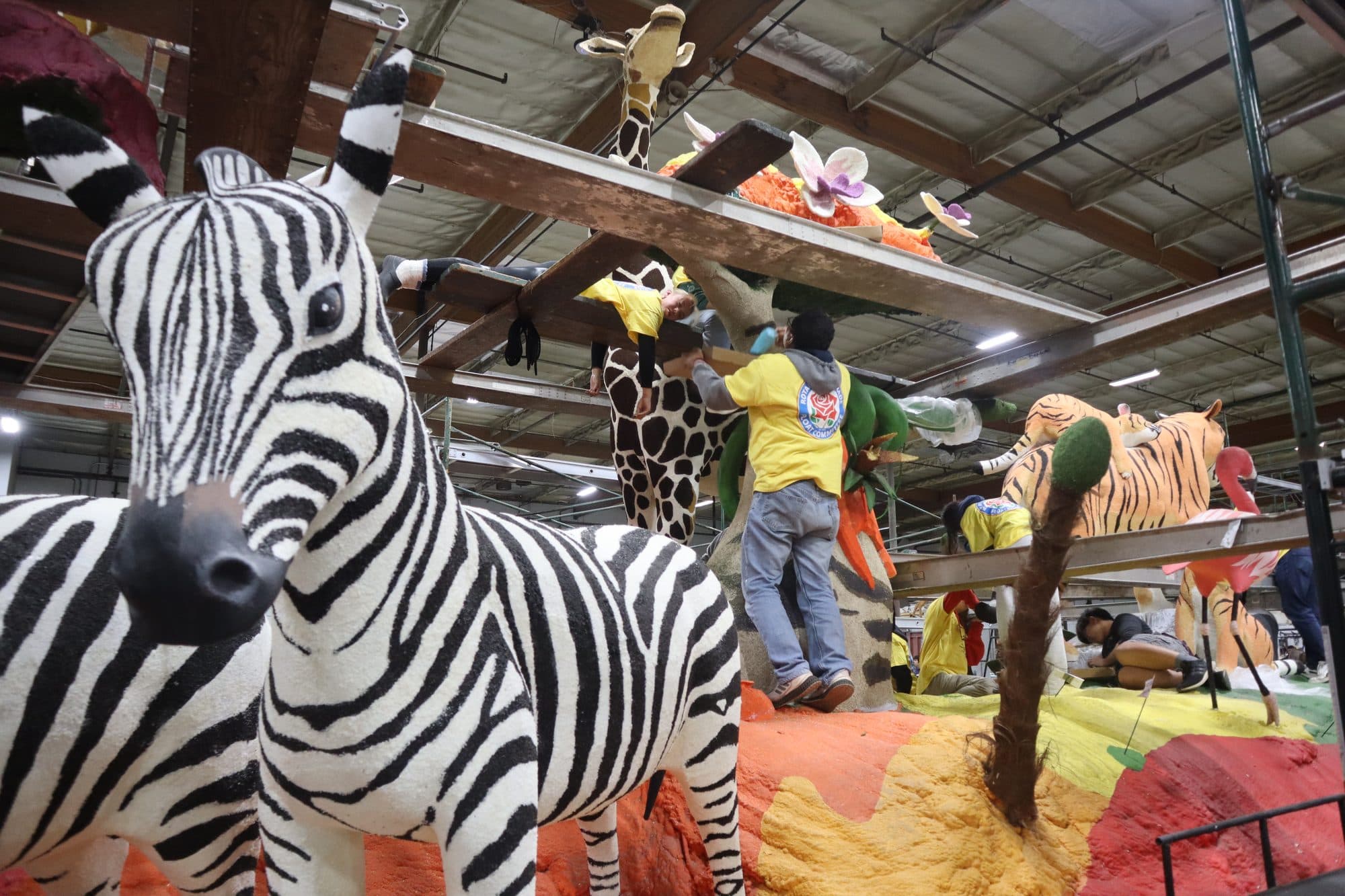 Decorating the Rotary Rose Parade float, frame 14