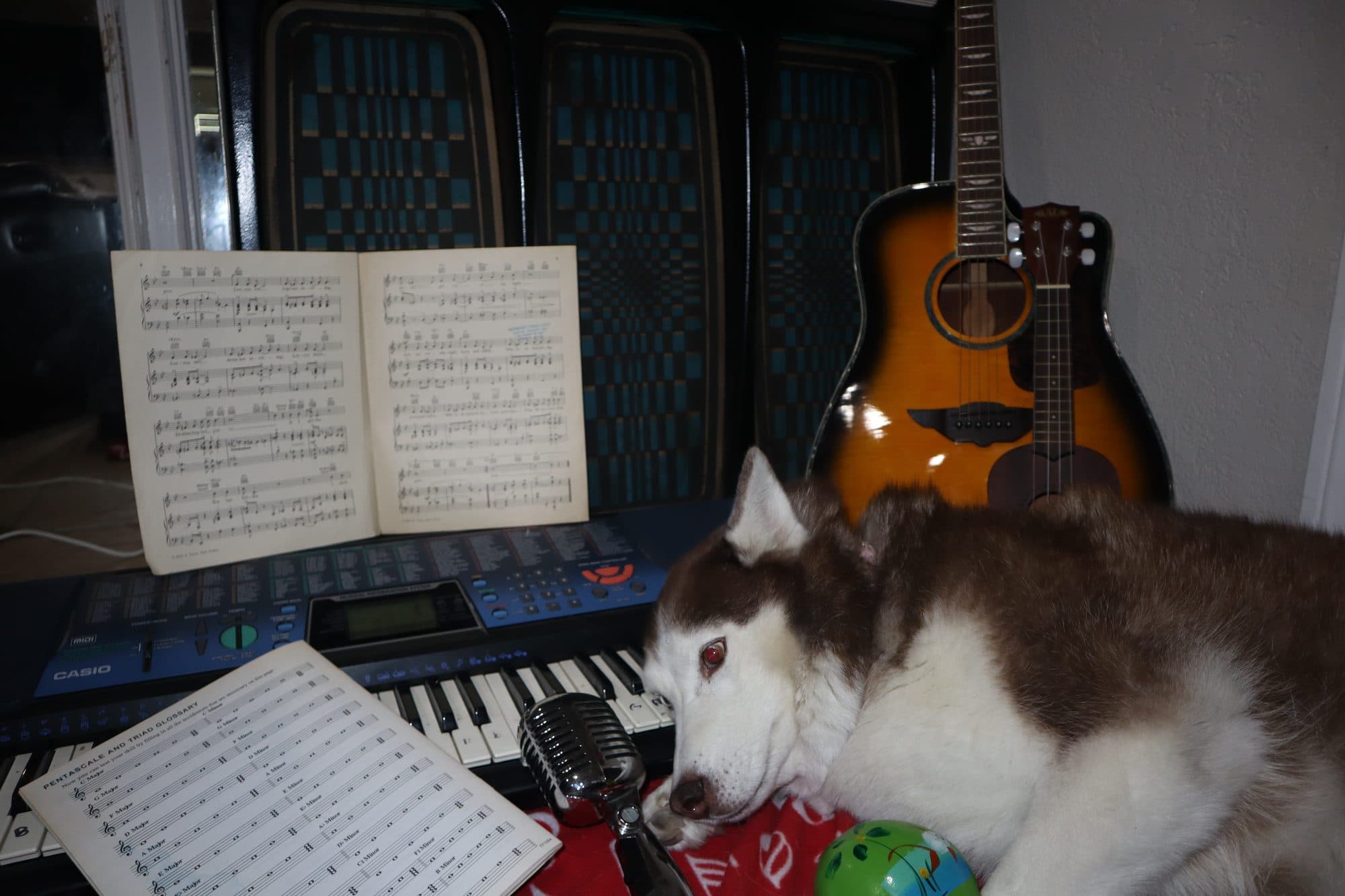 Bailey, for Tusk, frame 1