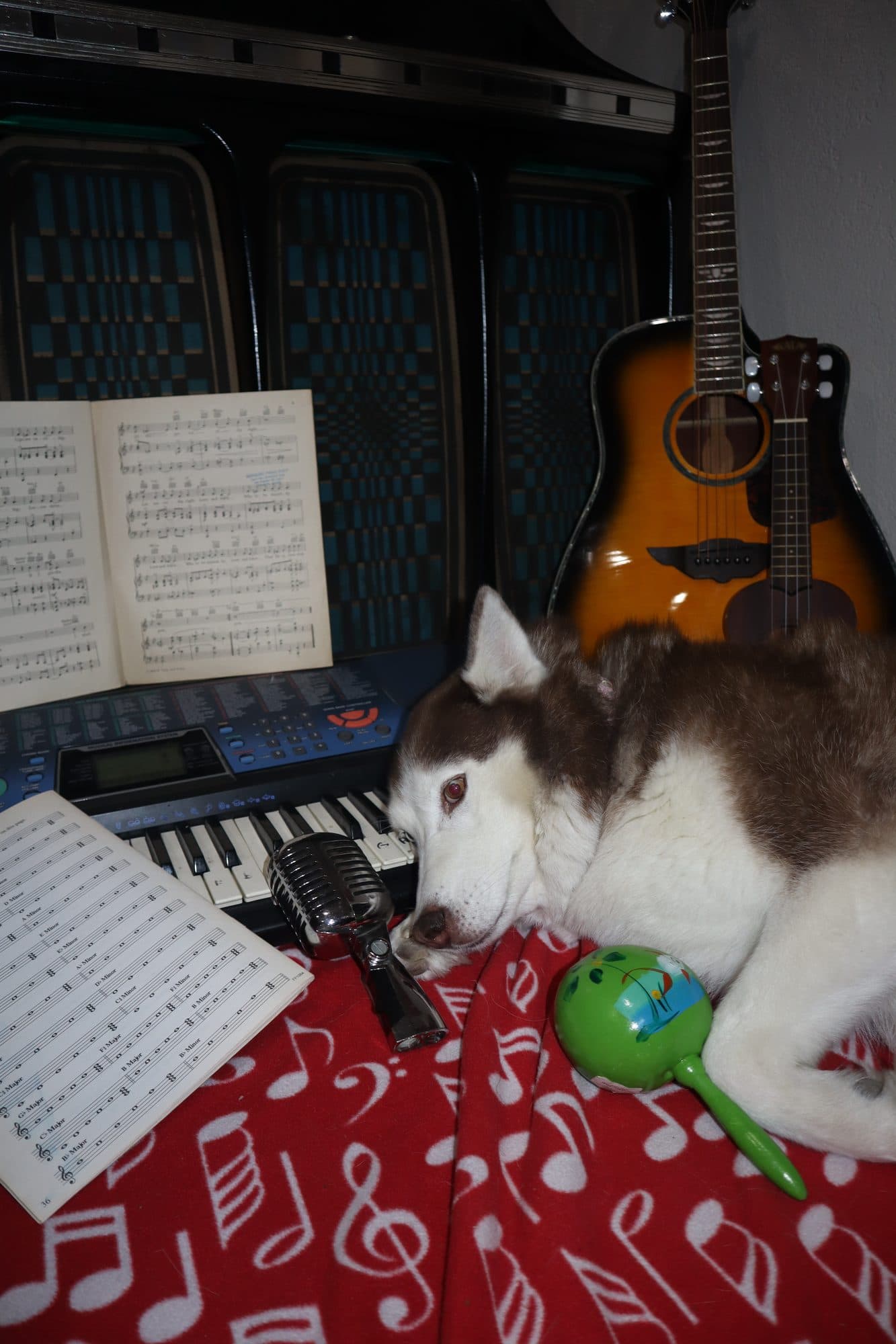 Bailey, for Tusk, frame 2