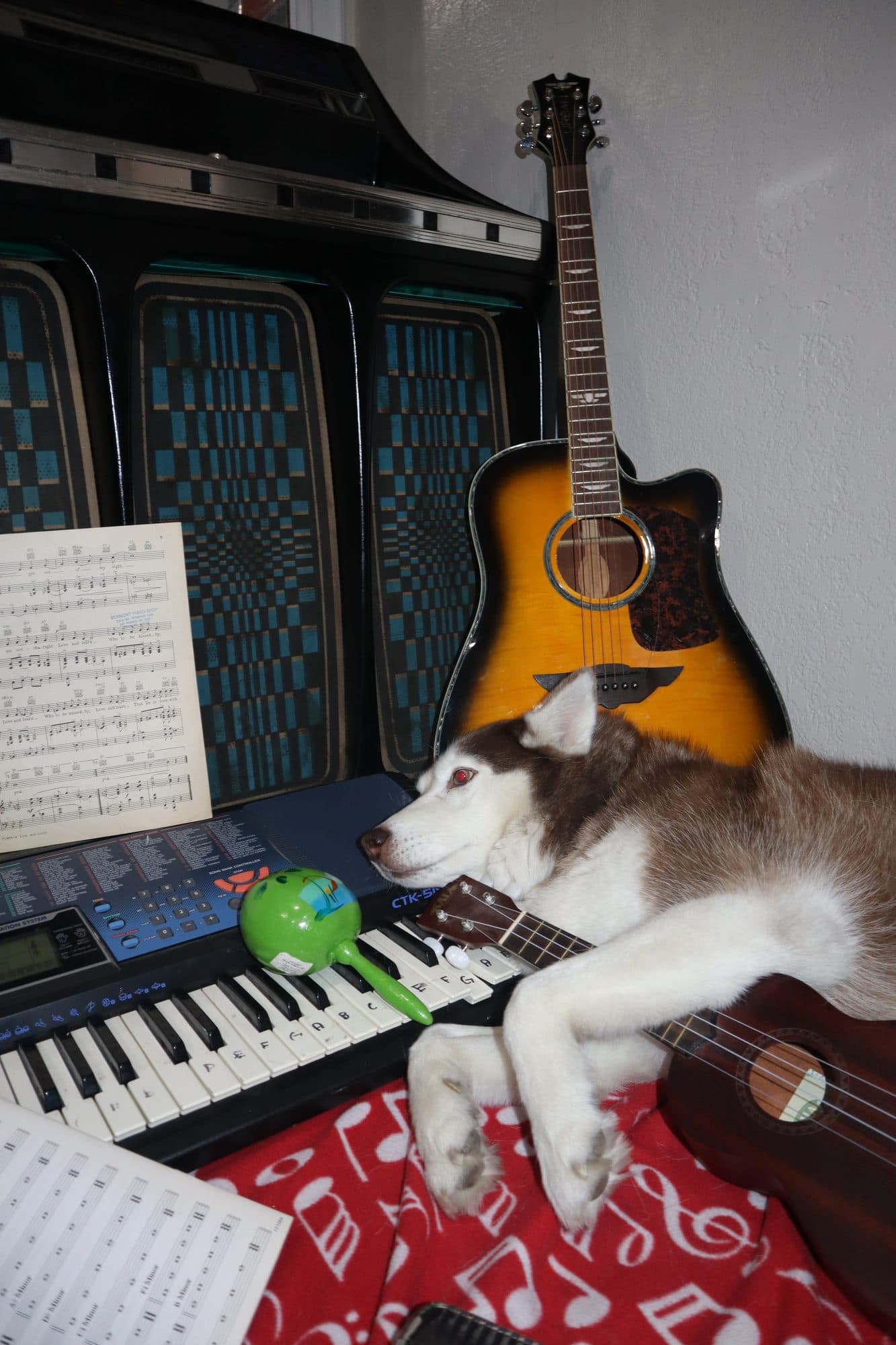 Bailey, for Tusk, frame 3