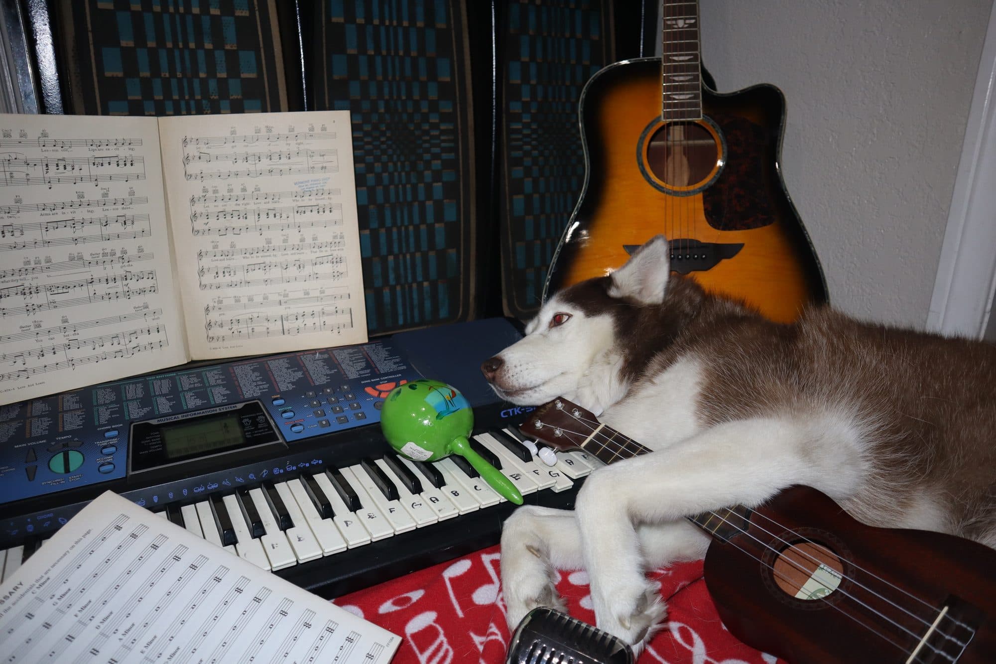 Bailey, for Tusk, frame 4