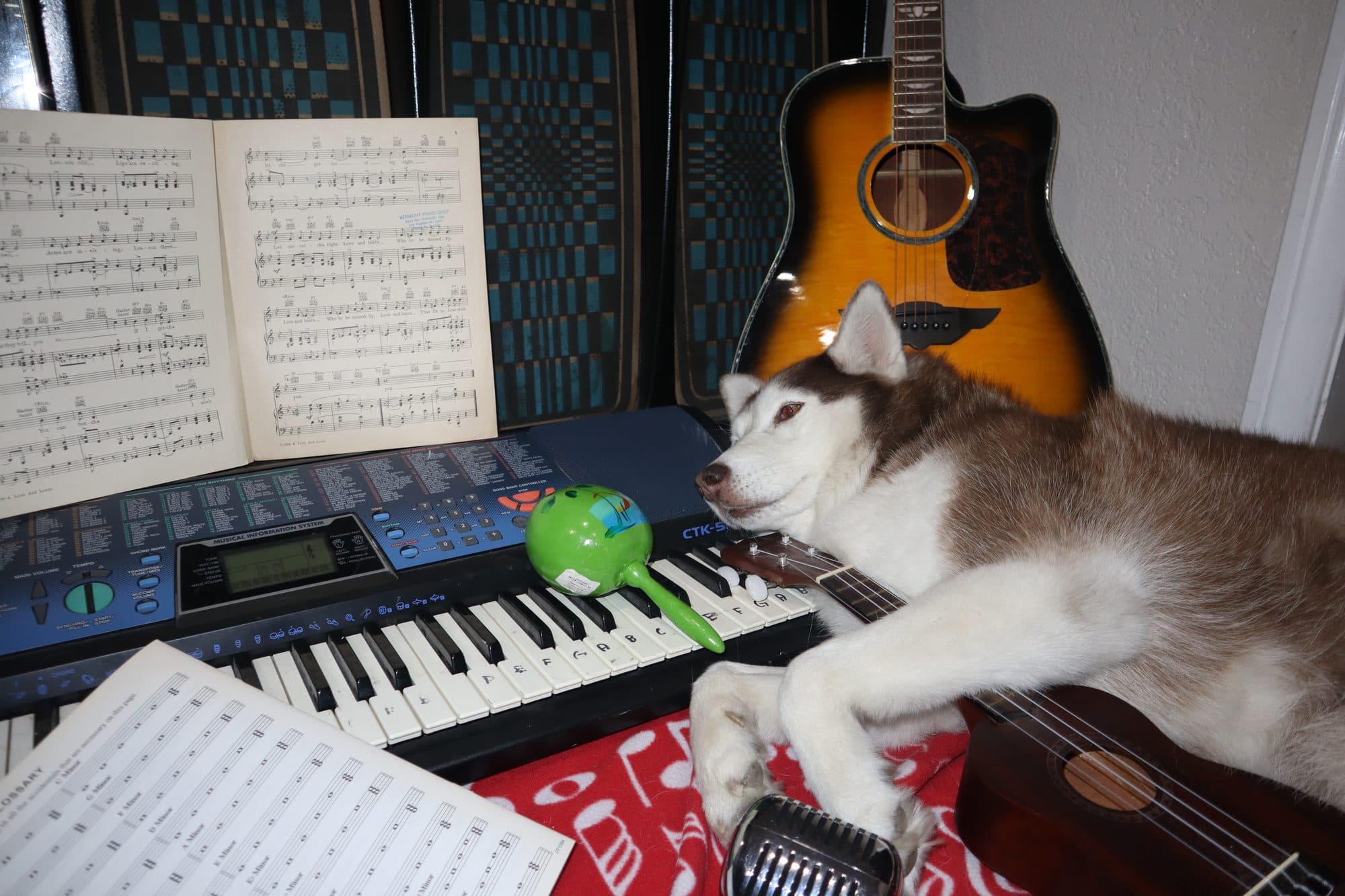 Bailey, for Tusk, frame 7