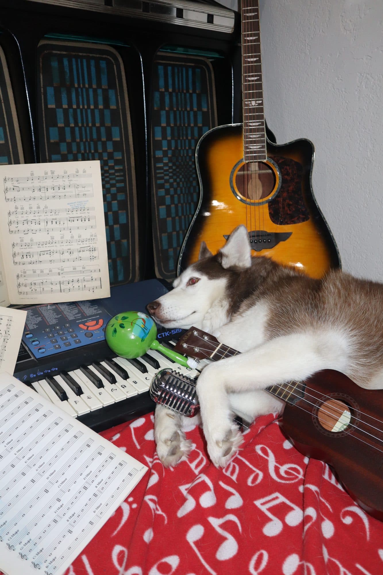 Bailey, for Tusk, frame 11