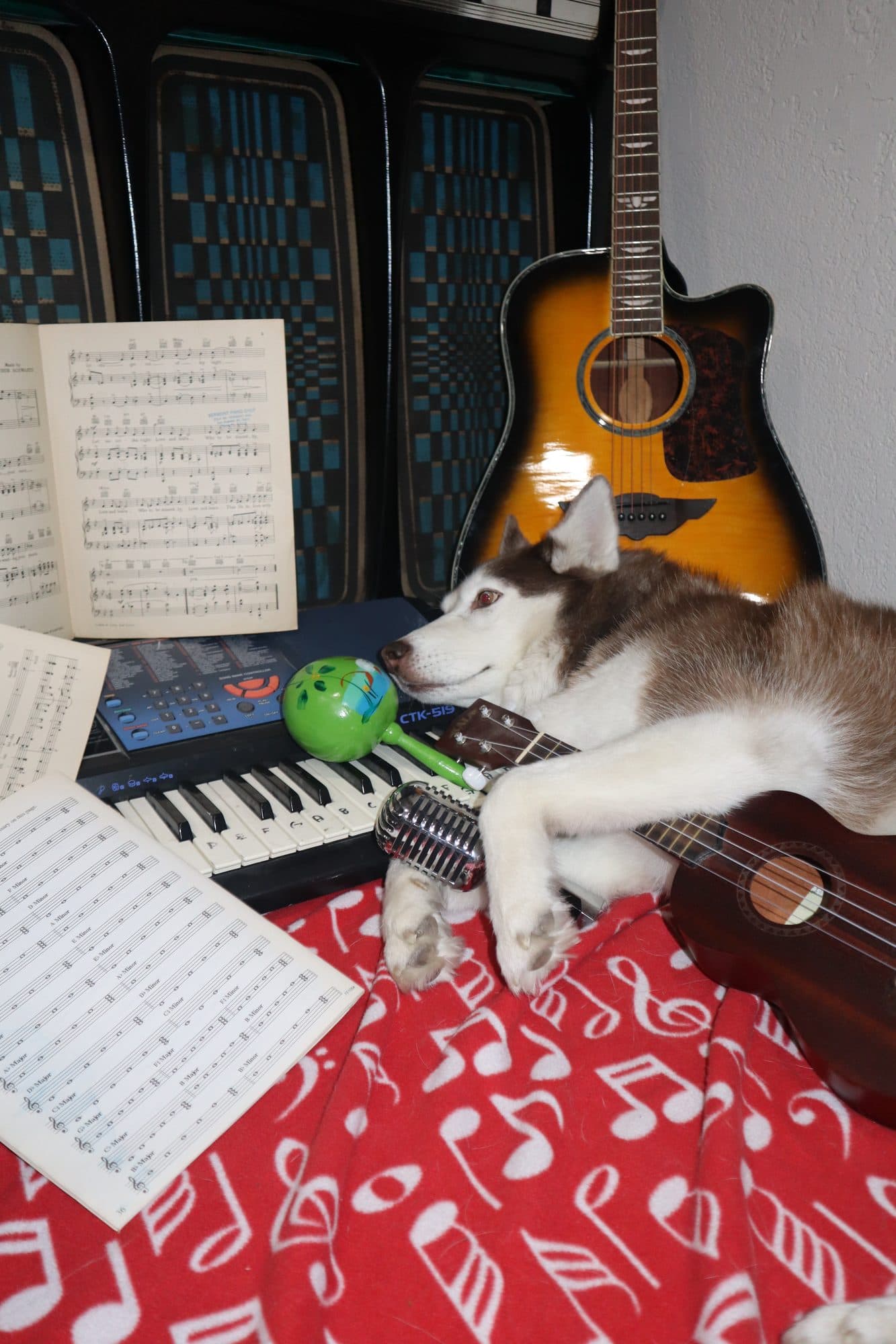 Bailey, for Tusk, frame 12