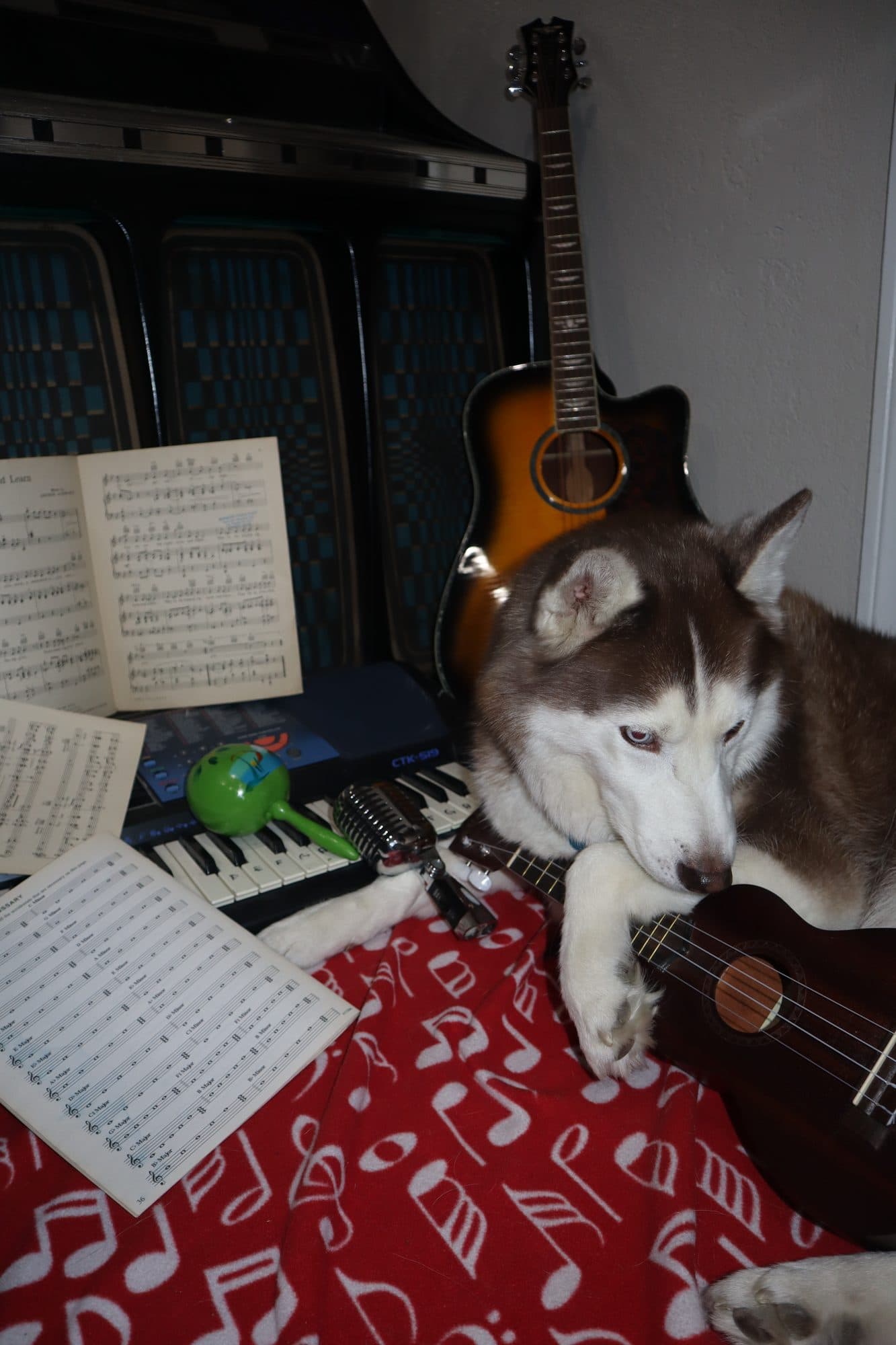 Bailey, for Tusk, frame 14