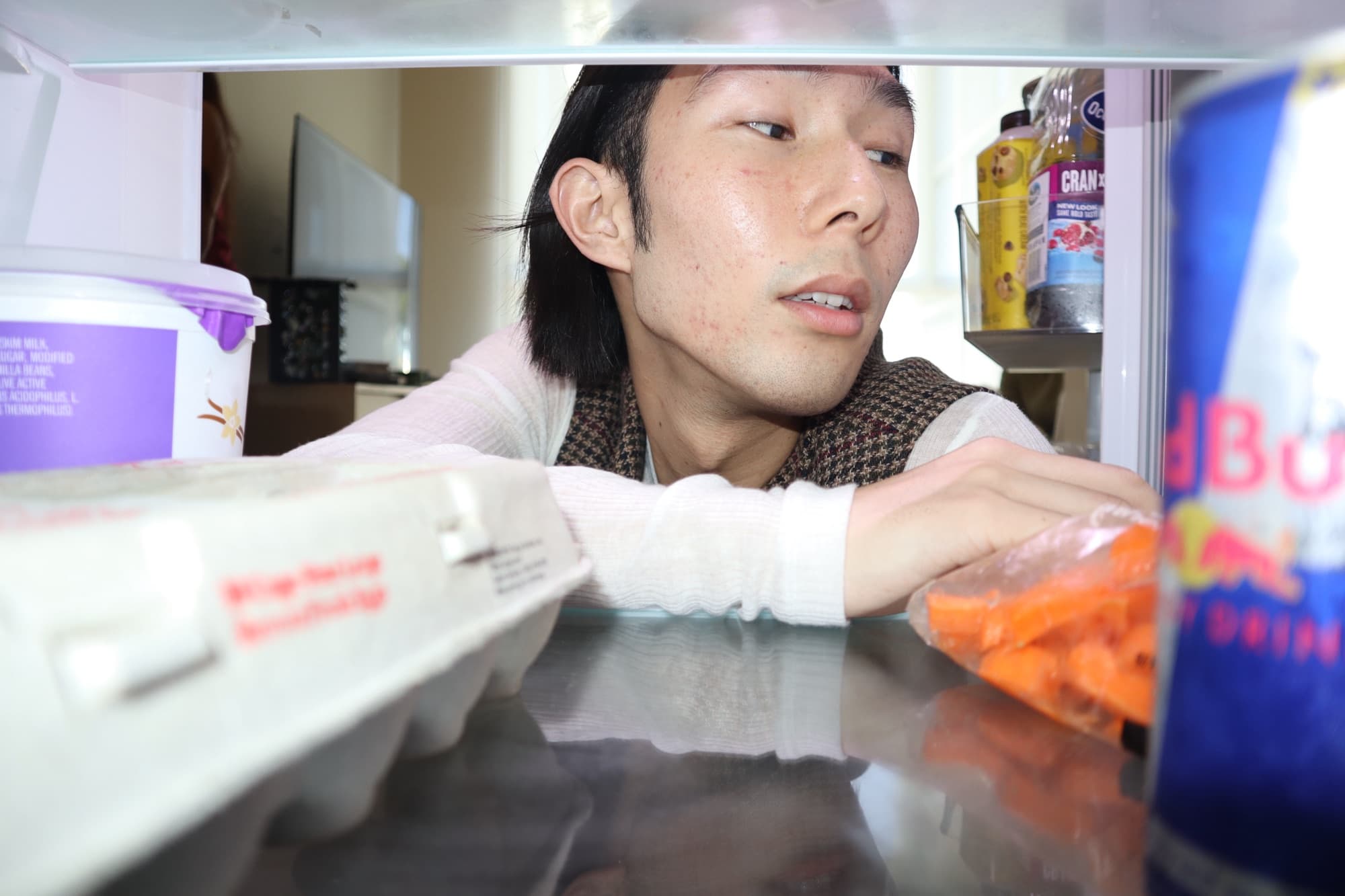 Portrait from inside the refrigerator, frame 3