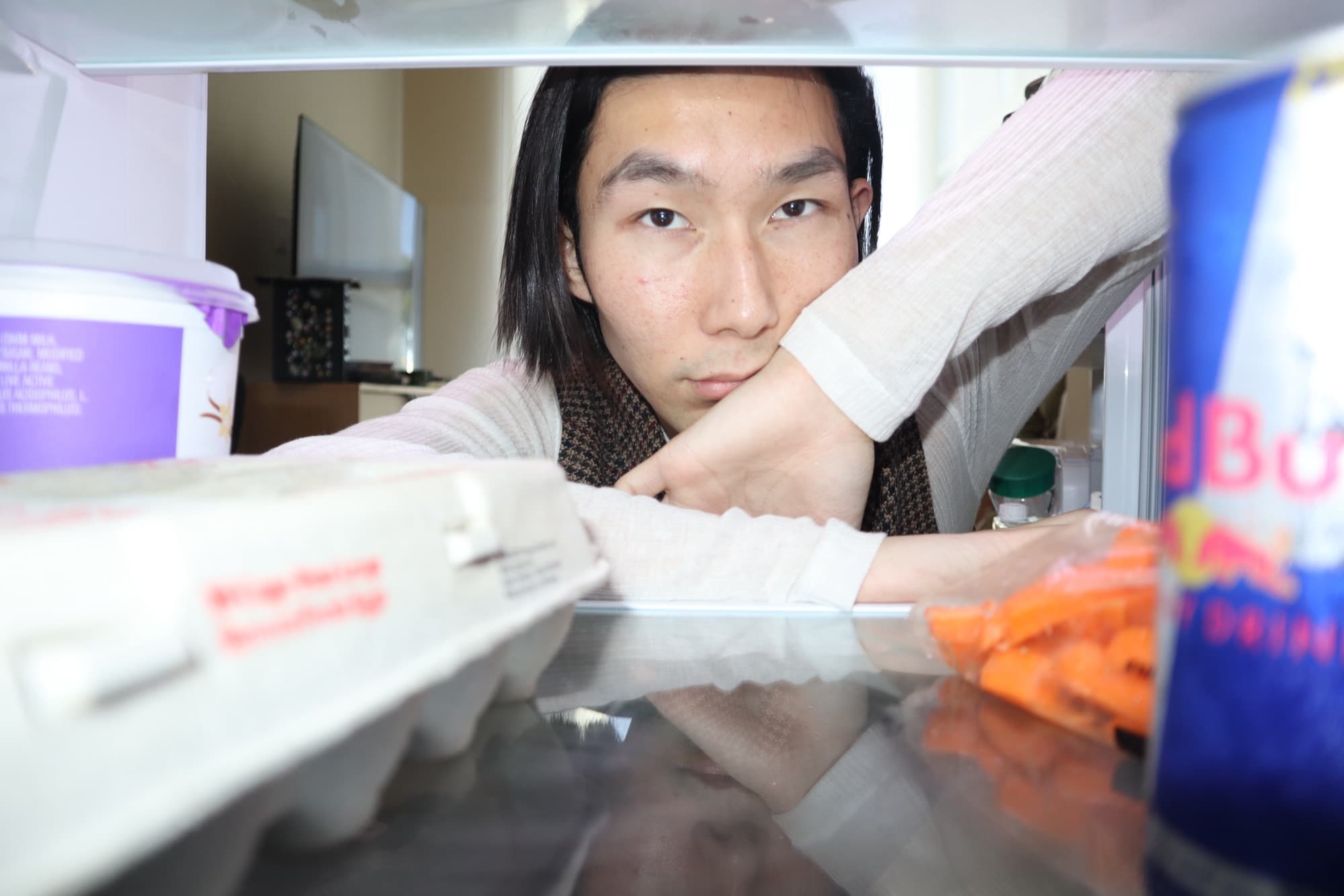 Portrait from inside the refrigerator, frame 7