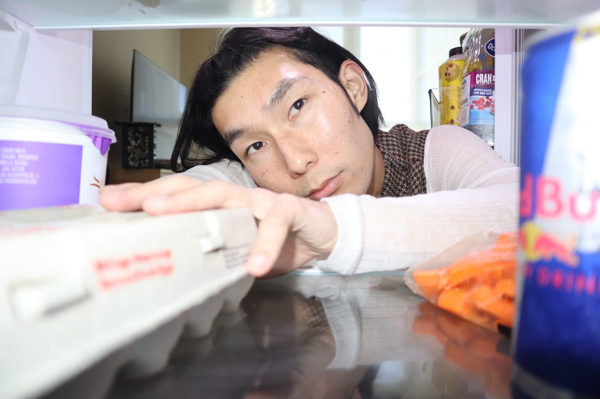 Portrait from inside the refrigerator, frame 14
