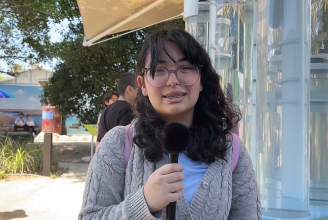 Interviewed at the Aquarium of the Pacific